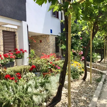 Parac פטרצ'אנה