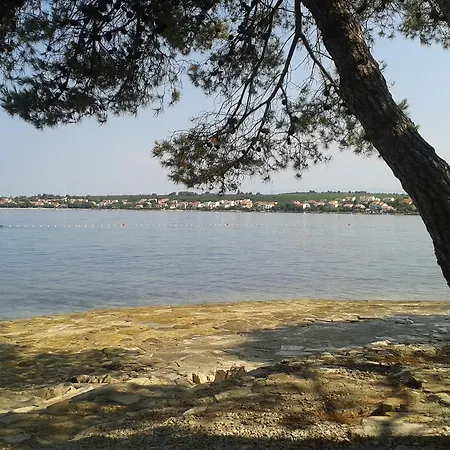 Parac * Петрчане