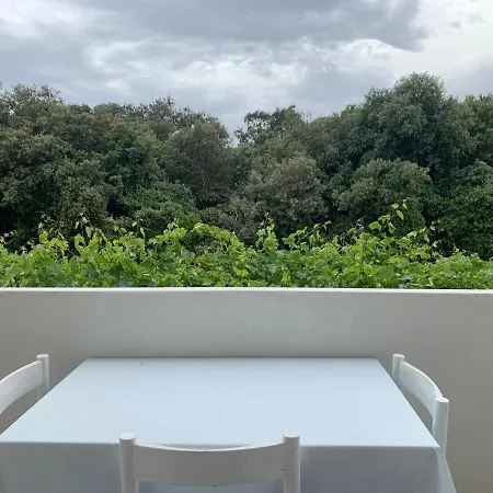 Parac ペトルチャネ