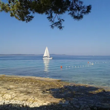 Parac ペトルチャネ