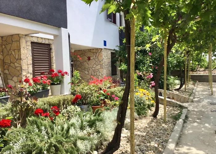 Parac 돈제페트레케인