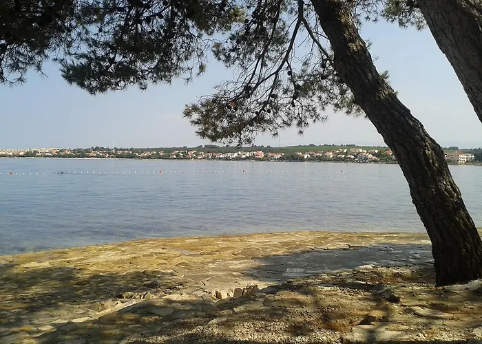 Parac * Петрчане