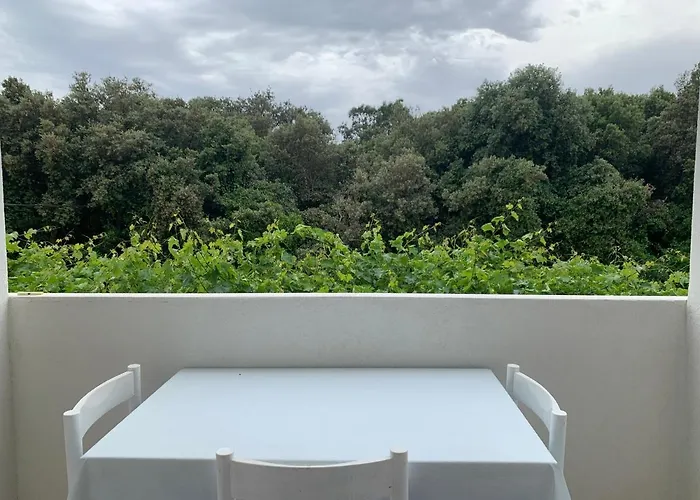 Parac Петрчане